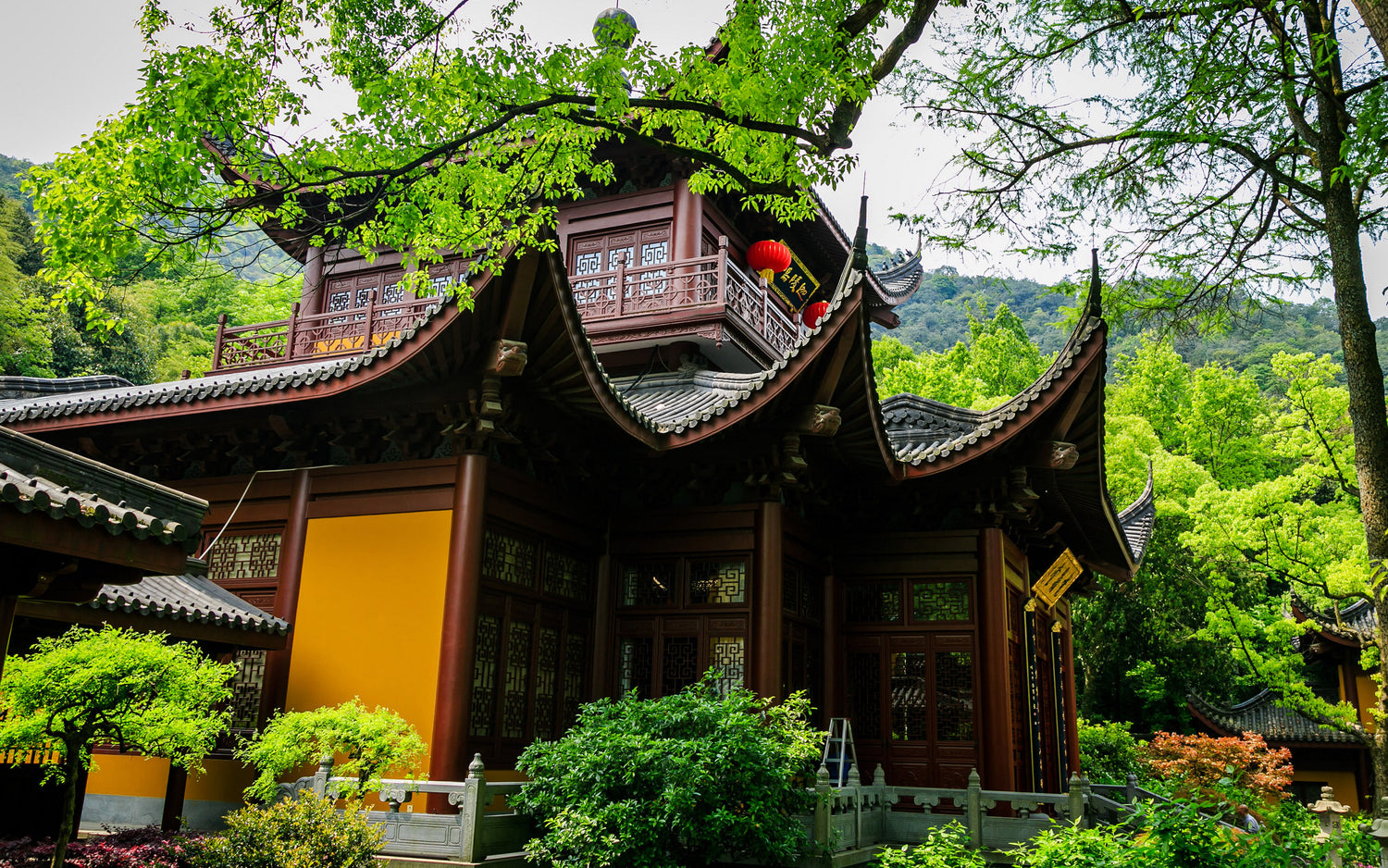 题图.jpg__PID:3584ce3a-1c3a-4448-a6c1-2d6f2ba00fde